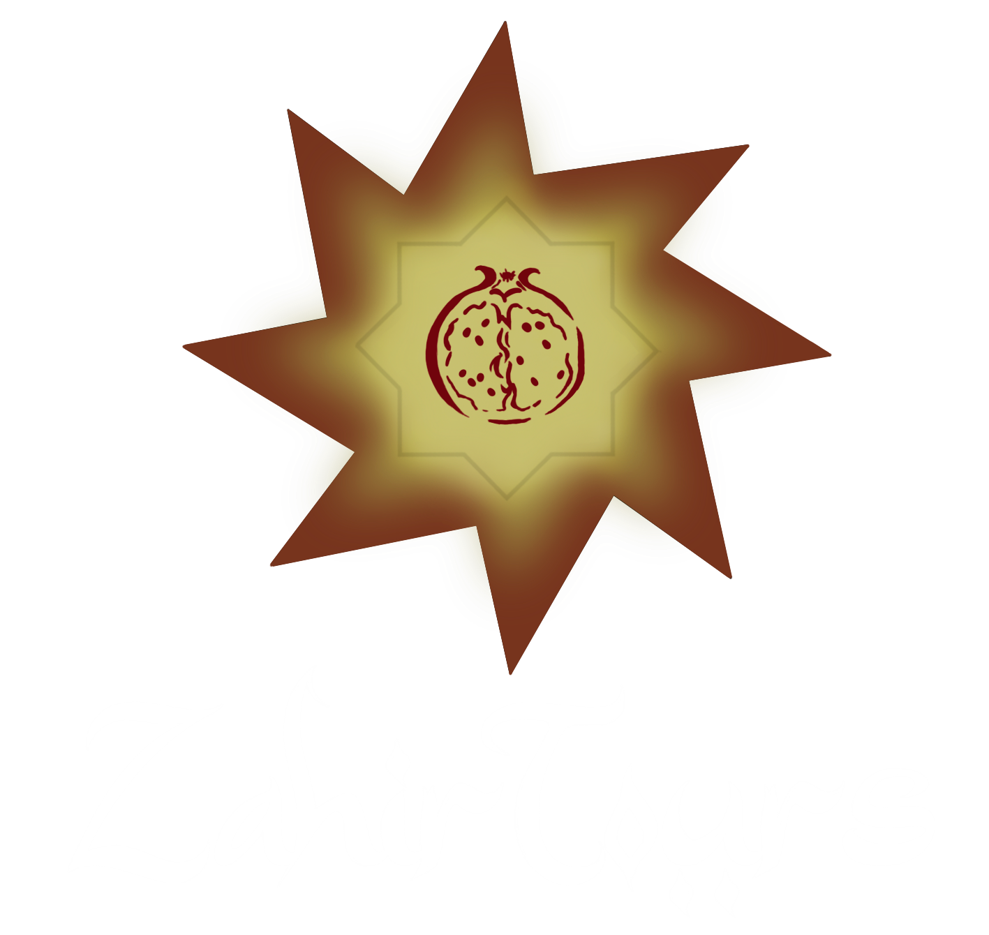 Zahir Tours