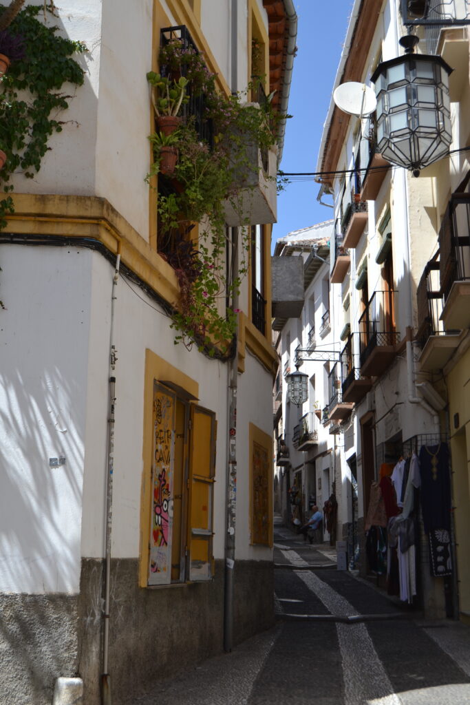 DSC_0097 (1)