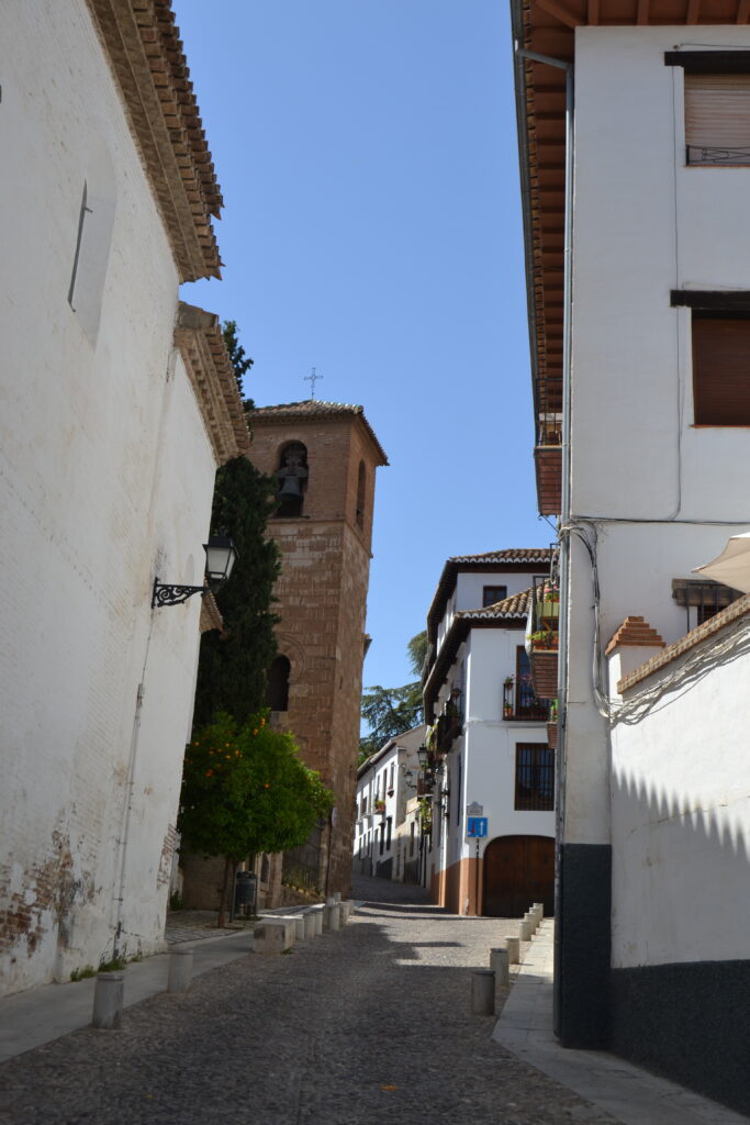 DSC_0101 (1)