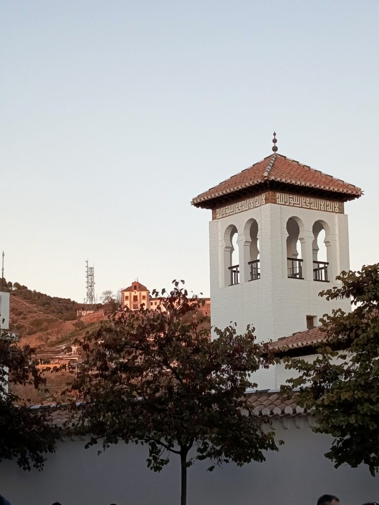 IMG_20251122_175701